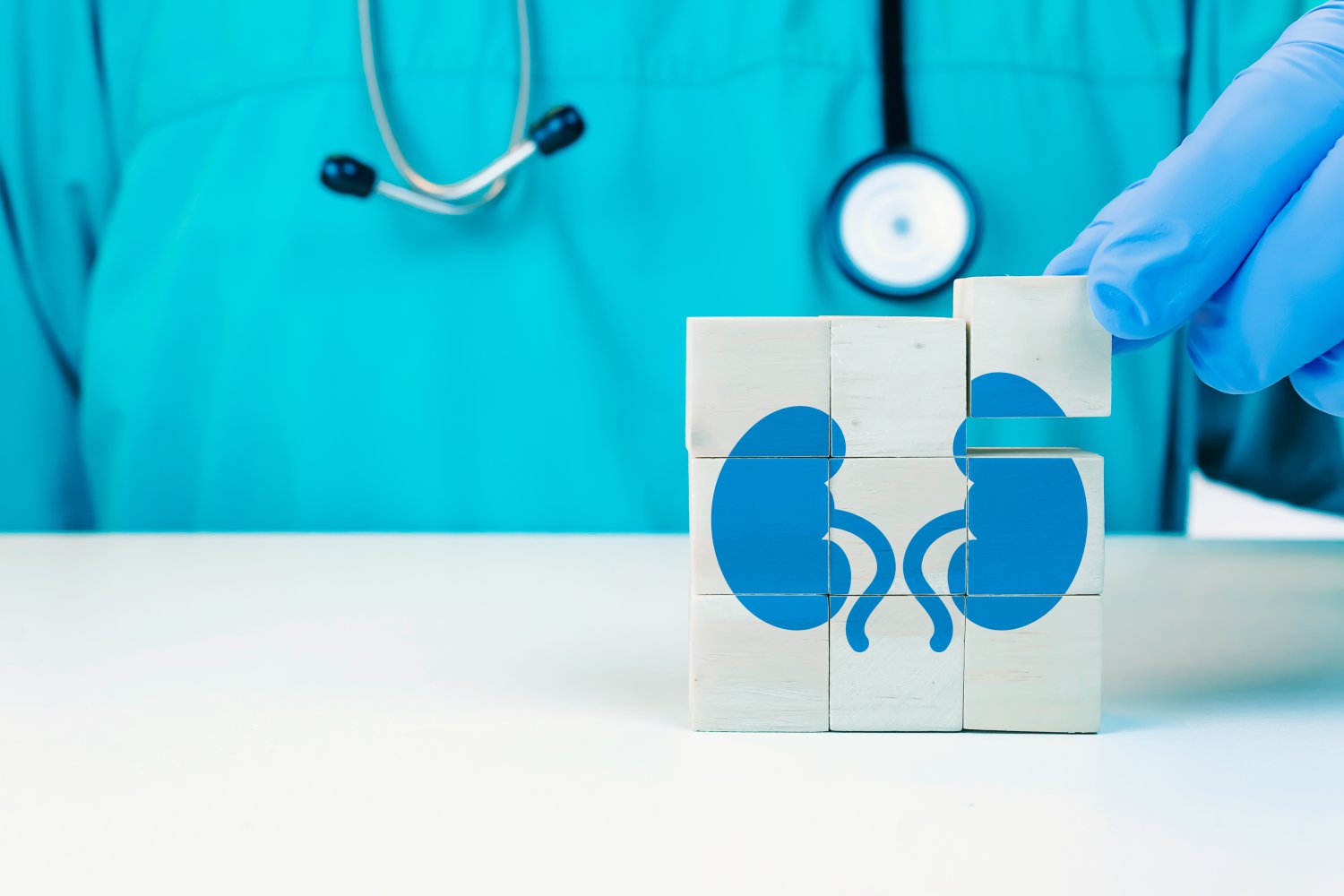 Building blocks for kidney disease prevention